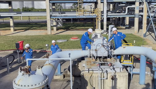 直通國(guó)家管網(wǎng) 廣東石化成品油管輸正式啟運(yùn)，譜寫能源輸送新篇章